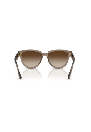 Gafas De Sol Ray-Ban RB4463L RB4463 Marrón Mujer