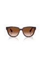 Gafas De Sol Ray-Ban RB4463L RB4463 Marrón Mujer de Rayban