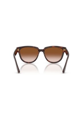 Gafas De Sol Ray-Ban RB4463L RB4463 Marrón Mujer