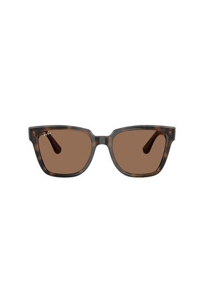 Gafas De Sol Ray-Ban RB4437 Marrón Mujer