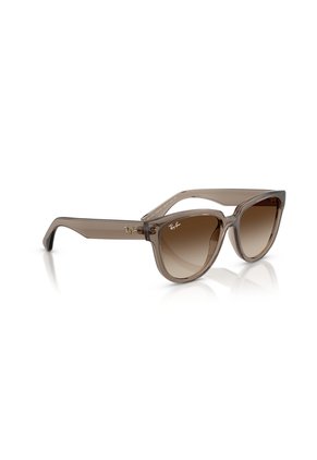 Gafas De Sol Ray-Ban RB4463L RB4463 Marrón Mujer
