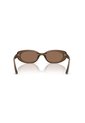Gafas De Sol Ray-Ban RB4441D RB4441 Marrón Hombre Y Mujer de Rayban