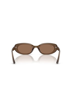 Gafas De Sol Ray-Ban RB4441D RB4441 Marrón Hombre Y Mujer