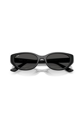 Gafas De Sol Ray-Ban RB4457 Negro Hombre Y Mujer