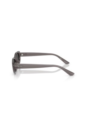 Gafas De Sol Ray-Ban RB4441D RB4441 Gris Hombre Y Mujer
