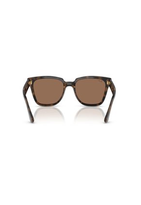 Gafas De Sol Ray-Ban RB4437 Marrón Mujer