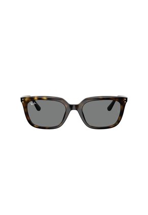 Gafas De Sol Ray-Ban RB4439D RB4439 Habana Hombre Y Mujer