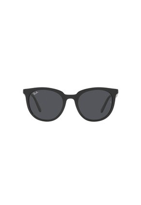 Gafas De Sol Ray-Ban RB4383 Negro Hombre Y Mujer
