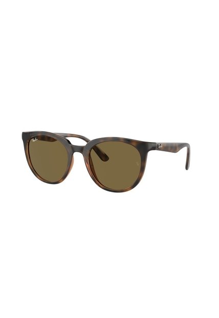 Gafas De Sol Ray-Ban RB4383 Marrón Mujer