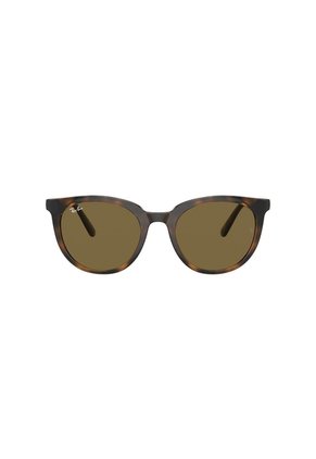 Gafas De Sol Ray-Ban RB4383 Marrón Mujer