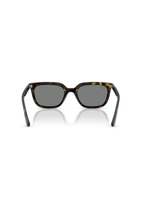Gafas De Sol Ray-Ban RB4439D RB4439 Habana Hombre Y Mujer