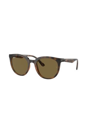 Gafas De Sol Ray-Ban RB4383 Marrón Mujer