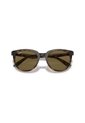 Gafas De Sol Ray-Ban RB4383 Marrón Mujer de Rayban