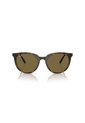Gafas De Sol Ray-Ban RB4383 Marrón Mujer de Rayban