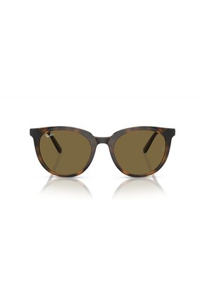 Gafas De Sol Ray-Ban RB4383 Marrón Mujer