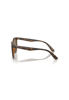 Gafas De Sol Ray-Ban RB4383 Marrón Mujer