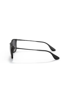 Gafas De Sol Ray-Ban Chris RB4187 Negro Hombre