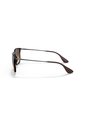 Gafas De Sol Ray-Ban Chris RB4187 Café Hombre Y Mujer de Rayban
