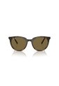 Gafas De Sol Ray-Ban RB4383 Marrón Mujer de Rayban