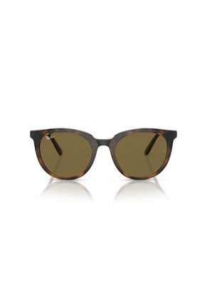 Gafas De Sol Ray-Ban RB4383 Marrón Mujer