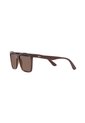 Gafas De Sol Ray-Ban RB4372 Marrón Hombre Y Mujer de Rayban