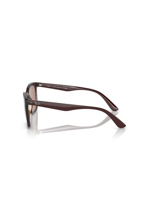 Gafas De Sol Ray-Ban RB4372 Marrón Hombre Y Mujer