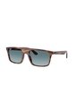 Gafas De Sol Ray-Ban RB2222 Marrón Hombre Y Mujer de Rayban
