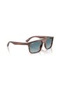 Gafas De Sol Ray-Ban RB2222 Marrón Hombre Y Mujer de Rayban