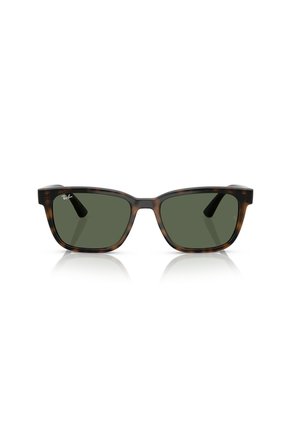 Gafas De Sol Ray-Ban RB4448 Marrón Hombre Y Mujer