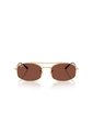 Gafas De Sol Ray-Ban RB3719 Dorado Hombre Y Mujer de Rayban