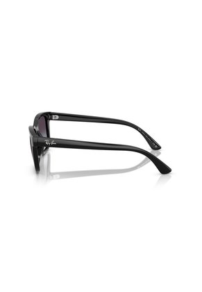Gafas De Sol Ray-Ban RB4448 Negro Hombre Y Mujer