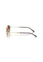 Gafas De Sol Ray-Ban RB3719 Dorado Hombre Y Mujer de Rayban