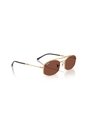 Gafas De Sol Ray-Ban RB3719 Dorado Hombre Y Mujer de Rayban