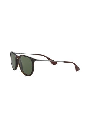 Gafas De Sol Ray-Ban Erika RB4171 Marrón Hombre Y Mujer
