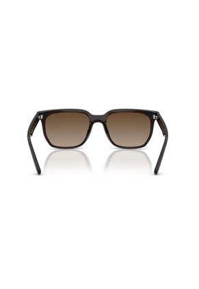 Gafas De Sol Ray-Ban RB4466D RB4466 Marrón Hombre Y Mujer