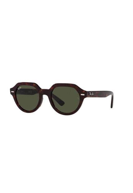 Gafas De Sol Ray-Ban Gina RB4399 Marrón Hombre