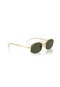 Gafas De Sol Ray-Ban RB3719 Dorado Hombre Y Mujer de Rayban
