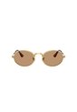 Gafas De Sol Ray-Ban RB3931 Dorado Hombre Y Mujer ASAP Rocky de Rayban