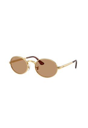 Gafas De Sol Ray-Ban RB3931 Dorado Hombre Y Mujer ASAP Rocky