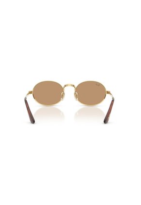 Gafas De Sol Ray-Ban RB3931 Dorado Hombre Y Mujer ASAP Rocky