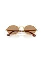 Gafas De Sol Ray-Ban RB3931 Dorado Hombre Y Mujer ASAP Rocky de Rayban