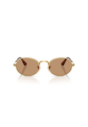 Gafas De Sol Ray-Ban RB3931 Dorado Hombre Y Mujer ASAP Rocky