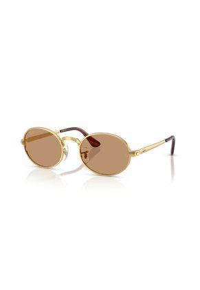 Gafas De Sol Ray-Ban RB3931 Dorado Hombre Y Mujer ASAP Rocky