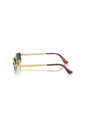 Gafas De Sol Ray-Ban RB3927 Dorado Hombre Y Mujer ASAP Rocky