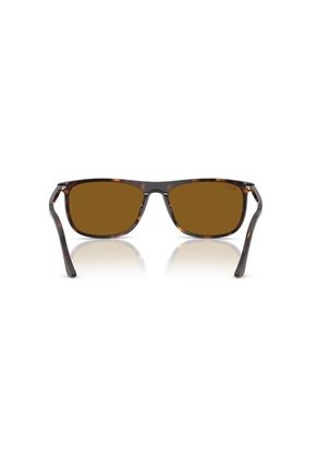 Gafas De Sol Ray-Ban RB2216 Hombre Y Mujer Marrón