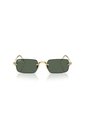 Gafas De Sol Ray-Ban RB3928 Dorado Hombre Y Mujer ASAP Rocky de Rayban