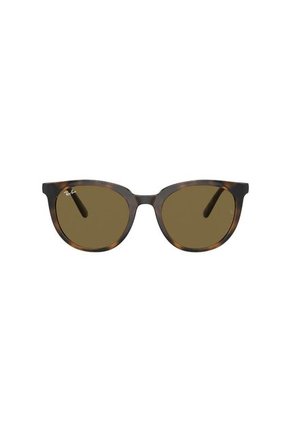 Gafas De Sol Ray-Ban RB4383 L71073