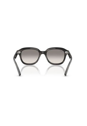 Gafas De Sol Ray-Ban Erik Hombre Y Mujer Gris
