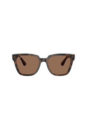 Gafas De Sol Ray-Ban RB4437 L71073