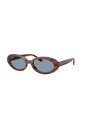 Gafas De Sol Ray-Ban RB2223 Marrón Mujer de Rayban